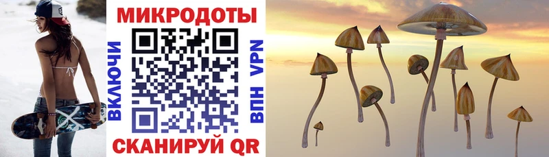 Псилоцибиновые грибы ЛСД Егорьевск